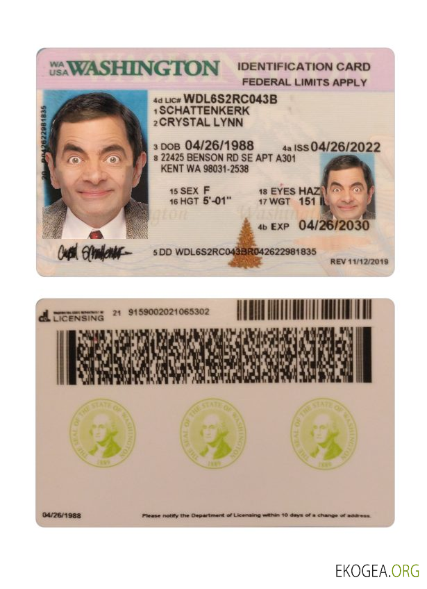 Carte d'identité des États Unis à Washington 2022 présent